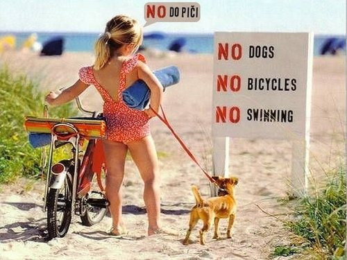 beach-bicycle-dog-girl-little-Favim_com-317334
